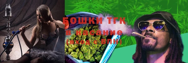 сатива Костерёво